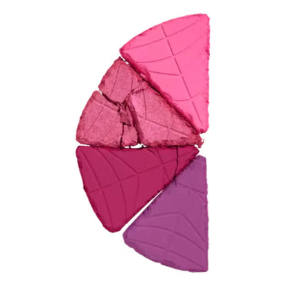Nyx Wednesday Enid Paleta Rubor Rosa 4 Tonos Rosa Fucsia Coral